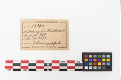 Etikett zu Bronzebreitrandschale (NHMW-PRAE-025260)